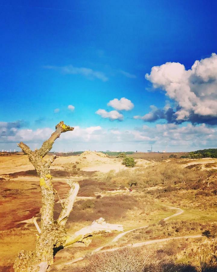 Апартаменты Achter De Duinen Зандфорт Экстерьер фото